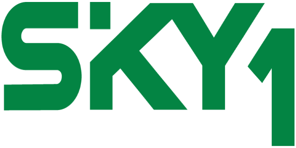 Sky 1 logo