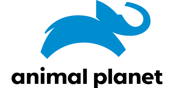 Animal Planet logo